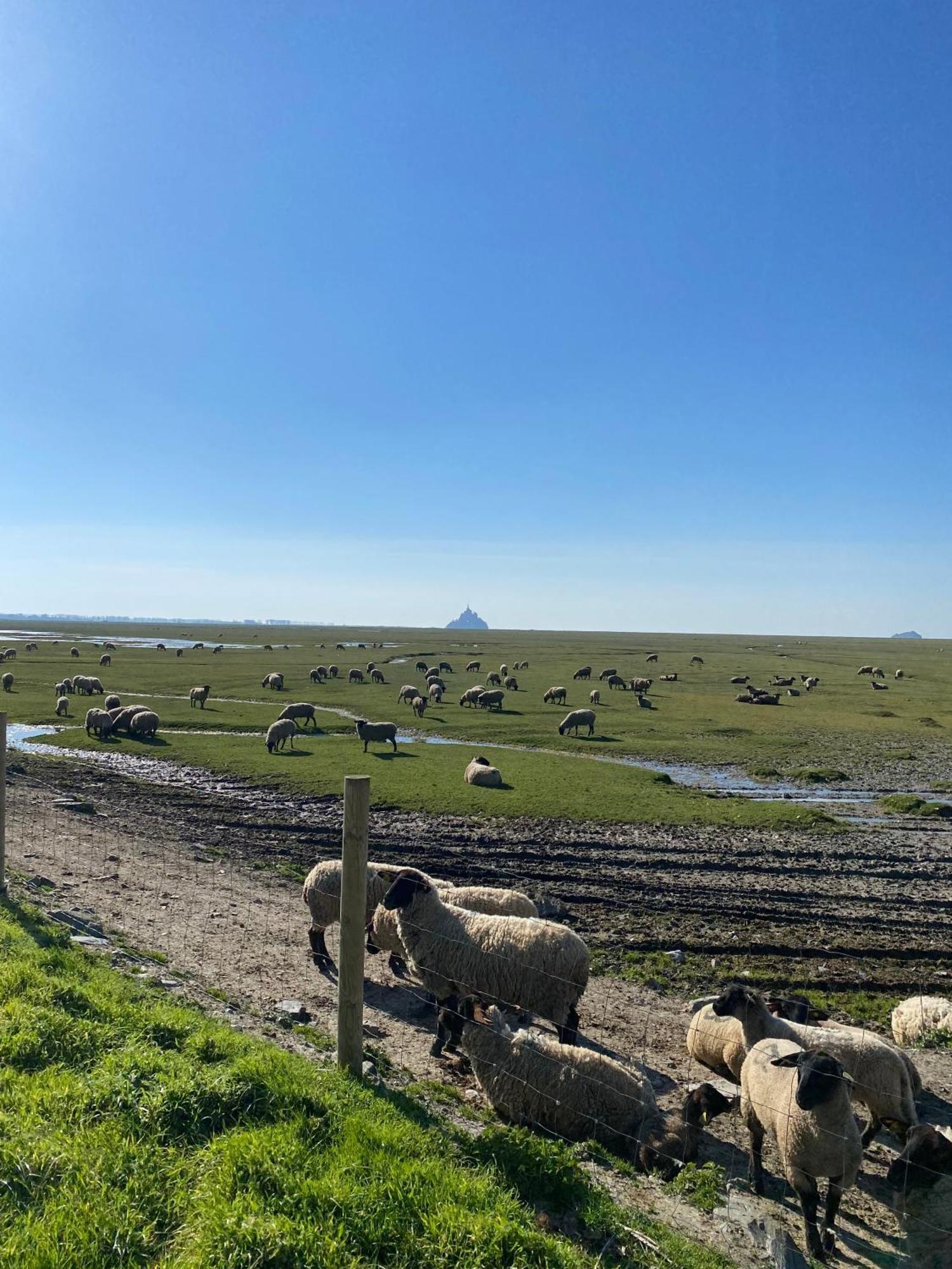 Le Relais De La Hardiesse 6Km Mont St Michel - Chambres Doubles - Suite Spa Privatif Courtils Zewnętrze zdjęcie